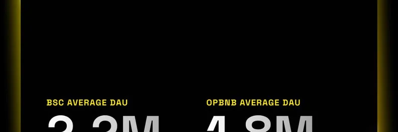 BNB 체인 주간 리포트 8월 7-13일: 급등한 지표가 밈 토큰 생태계를 끌어올리다